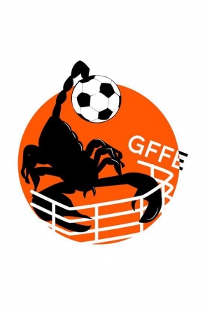 Zoom sur le GFFE 38 – Grenoble Foot-Fauteuil Électrique